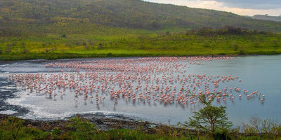 Arusha national park day tour - Photo 11
