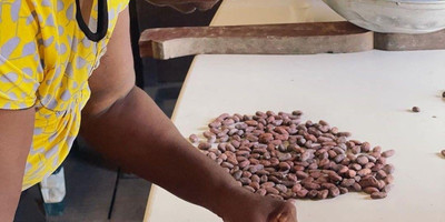 Atelier chocolat : de la fève à la tablette - Photo 4