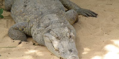 Authentique voyage - Photo 6