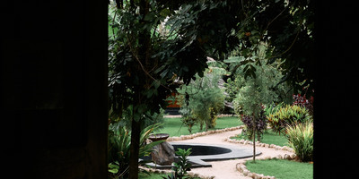 Banana Jungle Lodge - Photo 4