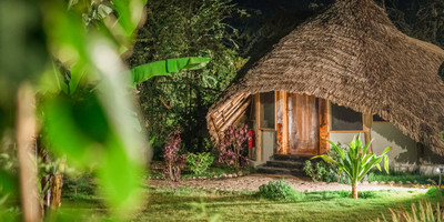 Banana Jungle Lodge - Photo 1