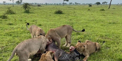 Baraza - Photo 1