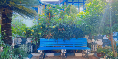 Beachcomber hotel & resorts - Photo 8