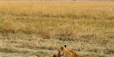 Bencia africa adventure & safaris ltd. - Photo 2