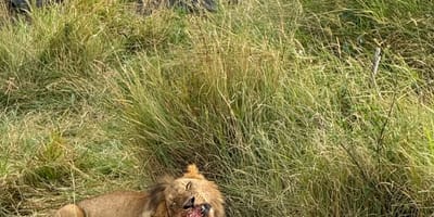 Bencia africa adventure & safaris ltd. - Photo 6