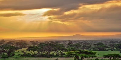 Bencia africa adventure & safaris ltd. - Photo 18