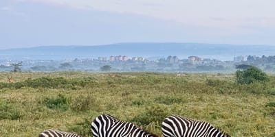 Bencia africa adventure & safaris ltd. - Photo 8
