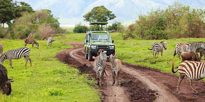 Tanzania safari-5 day - Photo 5