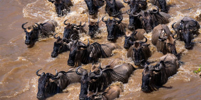 Tanzania safari-5 day - Photo 3