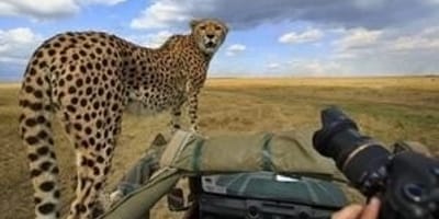 6 days tented camping & lodging safaris - Photo 1