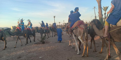 Camel ride in the palm grove of marrakech - Photo 2