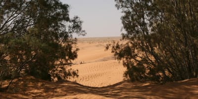 Campement El Biben - Photo 2