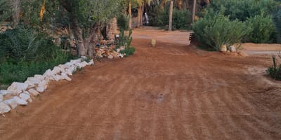 Campement Ghilane - Photo 3