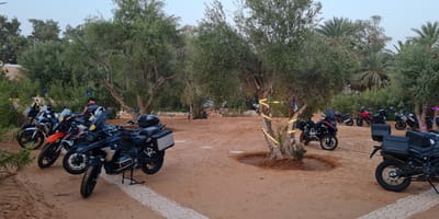 Campement Ghilane - Photo 4