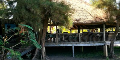 Campement les baobabs - Photo 18