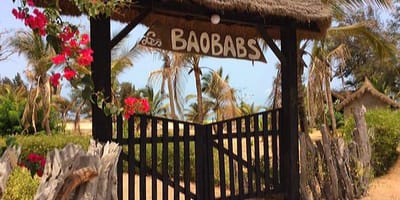Campement les baobabs - Photo 13