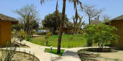 Campement les baobabs - Photo 19