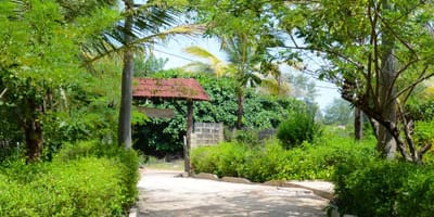 Campement les baobabs - Photo 23