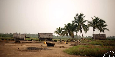 10 jours en circuit découverte du bénin - Photo 4