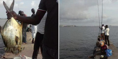 Club de Pêche Côte d’Ivoire (CPCI) - Photo 1
