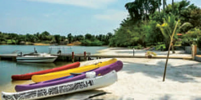 Coconut Grove - Photo 1