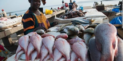 Corniche de Dakar - Photo 2
