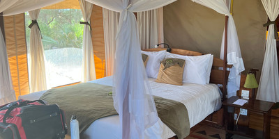 Cottar's 1920 Safari Camp - Photo 1