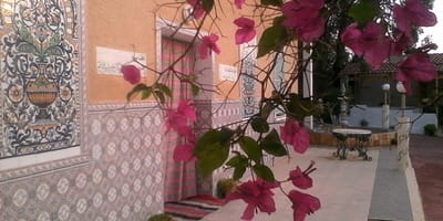 Dar Al-Mansoura - Photo 5