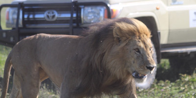 Day trip - selous day safari tour - Photo 8