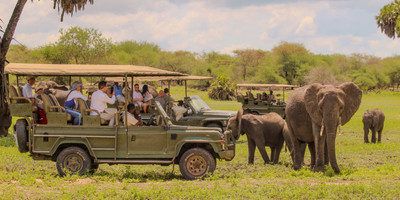 Day trip - selous day safari tour - Photo 1