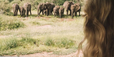 Day trip to lake manyara national park - Photo 9