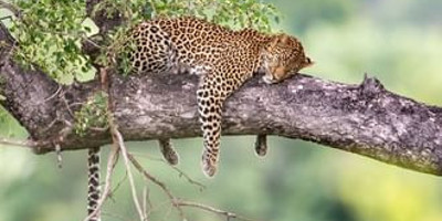 Day trip to lake manyara national park - Photo 7