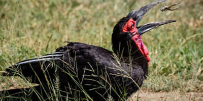Day trip to lake manyara national park - Photo 8