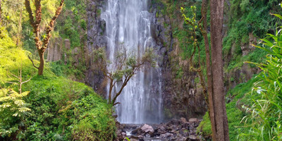 Day trip to materuni waterfall and coffee tour - Photo 43