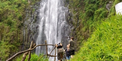 Day trip to materuni waterfall and coffee tour - Photo 19