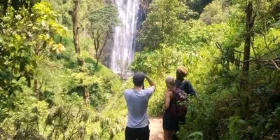 Day trip to materuni waterfall and coffee tour - Photo 36