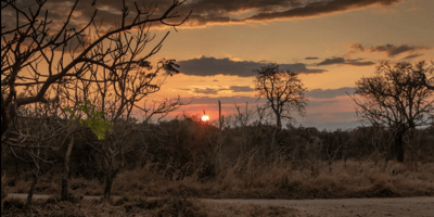 Day trip to mikumi national park by express train - Photo 7