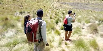 Day trip to mount kilimanjaro - Photo 15
