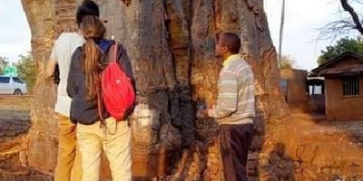 Day trip to mount kilimanjaro - Photo 11
