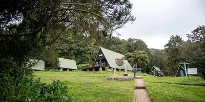 Day trip to mount kilimanjaro - Photo 22