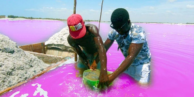 Discover senegal & ghana – 12 days - Photo 4