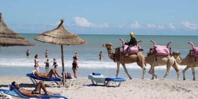 Djerba l'île des rêves - Photo 6