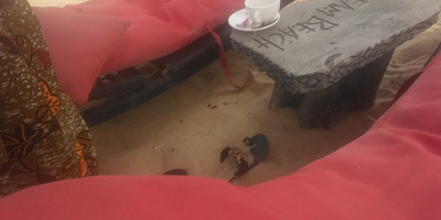 Dream Beach - Photo 3