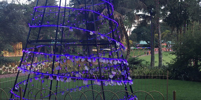 Durban Botanic Gardens - Photo 3