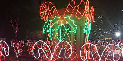 Durban Botanic Gardens - Photo 5