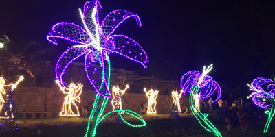 Durban Botanic Gardens - Photo 1