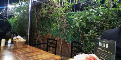 Dz Forest - Photo 1