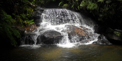 The eastern madagascar wonder - Photo 7