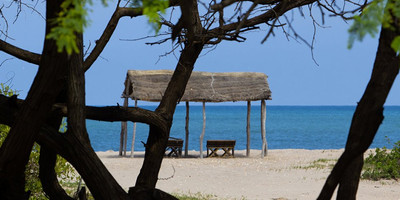 Ecolodge palmarin - Photo 5