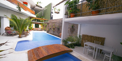 Ecologe - Photo 2